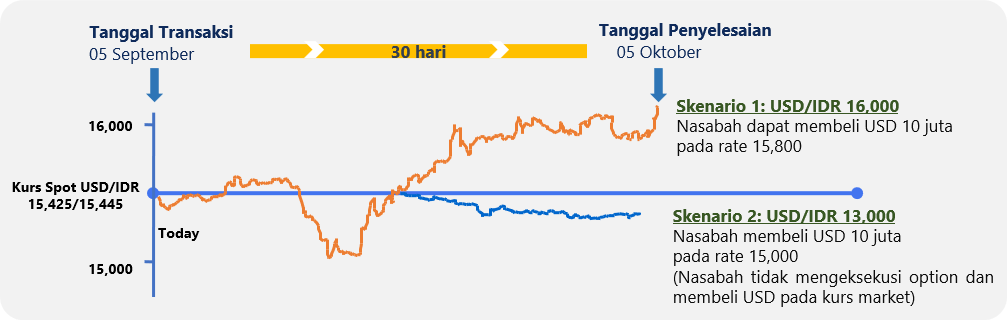 Ilustrasi Transaksi FX Option