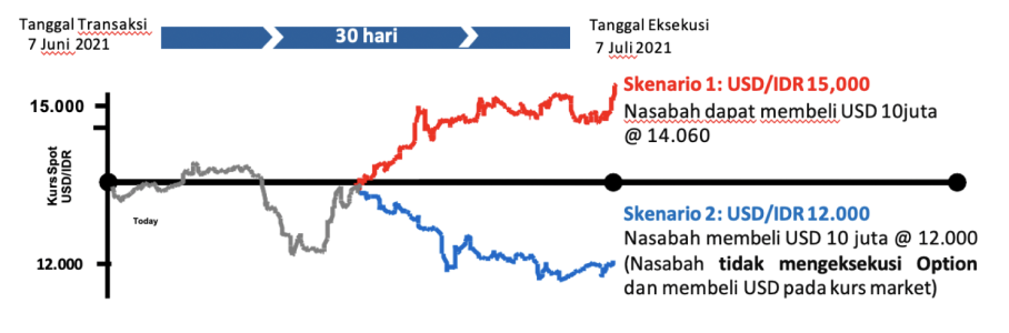 Ilustrasi Transaksi FX Option